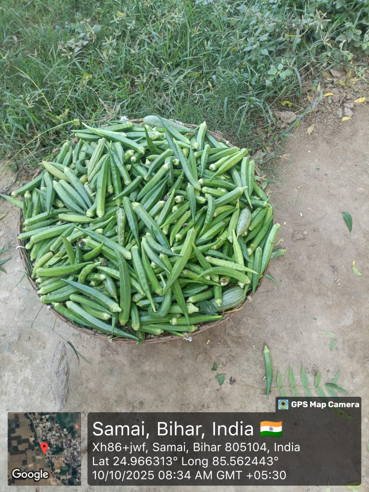 किसानों का संगठन