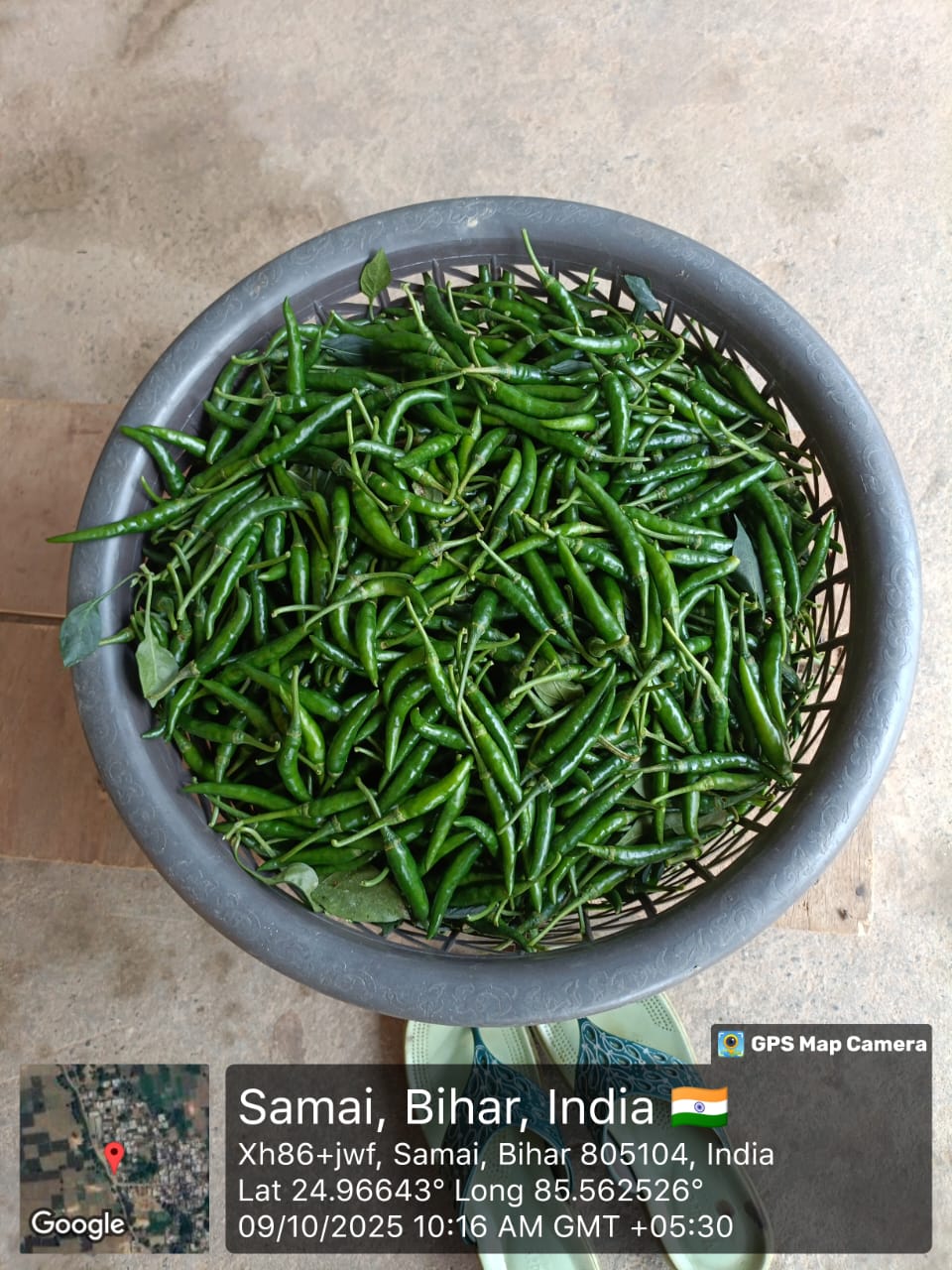 किसानों का संगठन